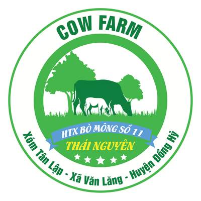 HTX Bò Mông Số 11