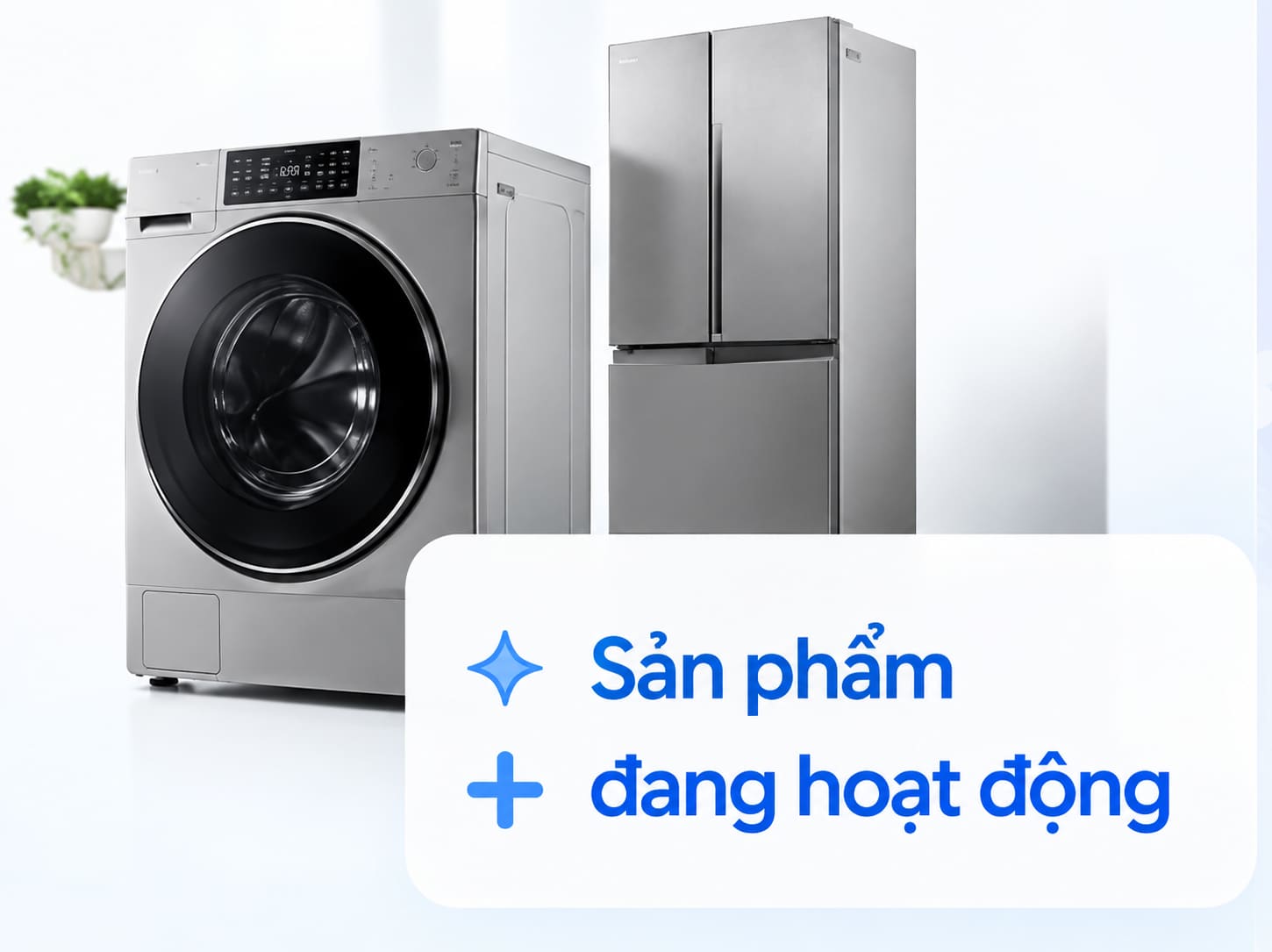 Sản phẩm đang hoạt động