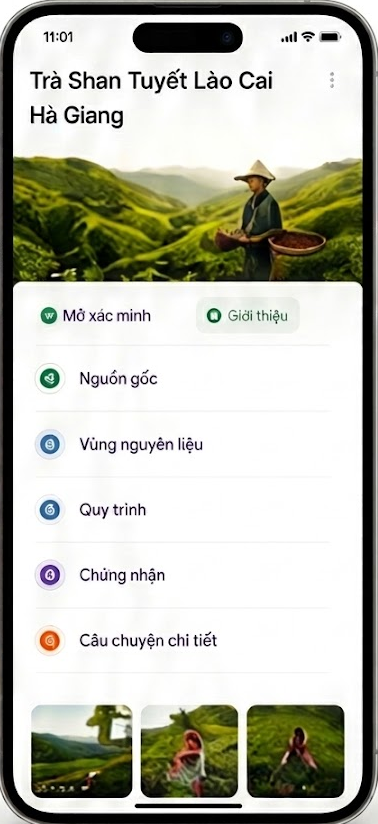 Checkgo Hồ sơ số trên điện thoại