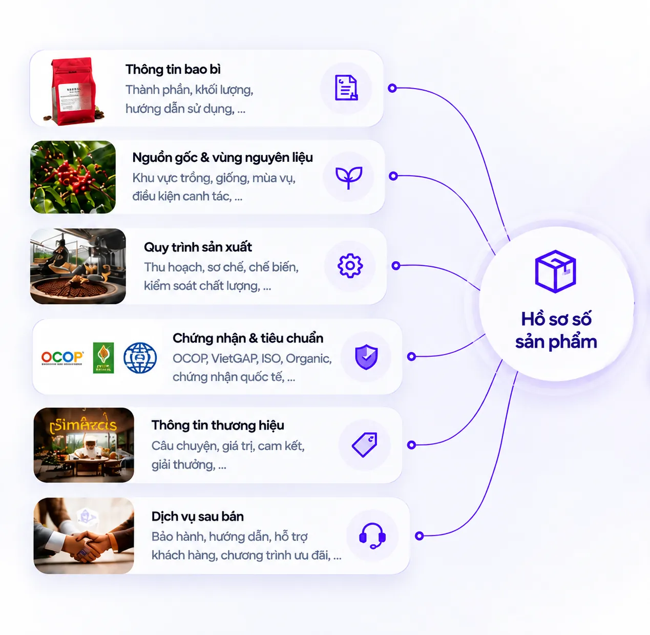 Các nhóm thông tin trong Hồ sơ số sản phẩm