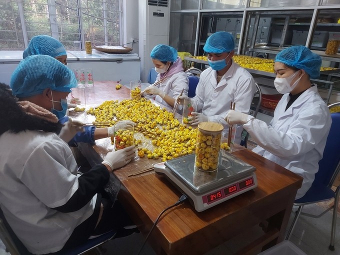 Sơ chế tại Việt Nam