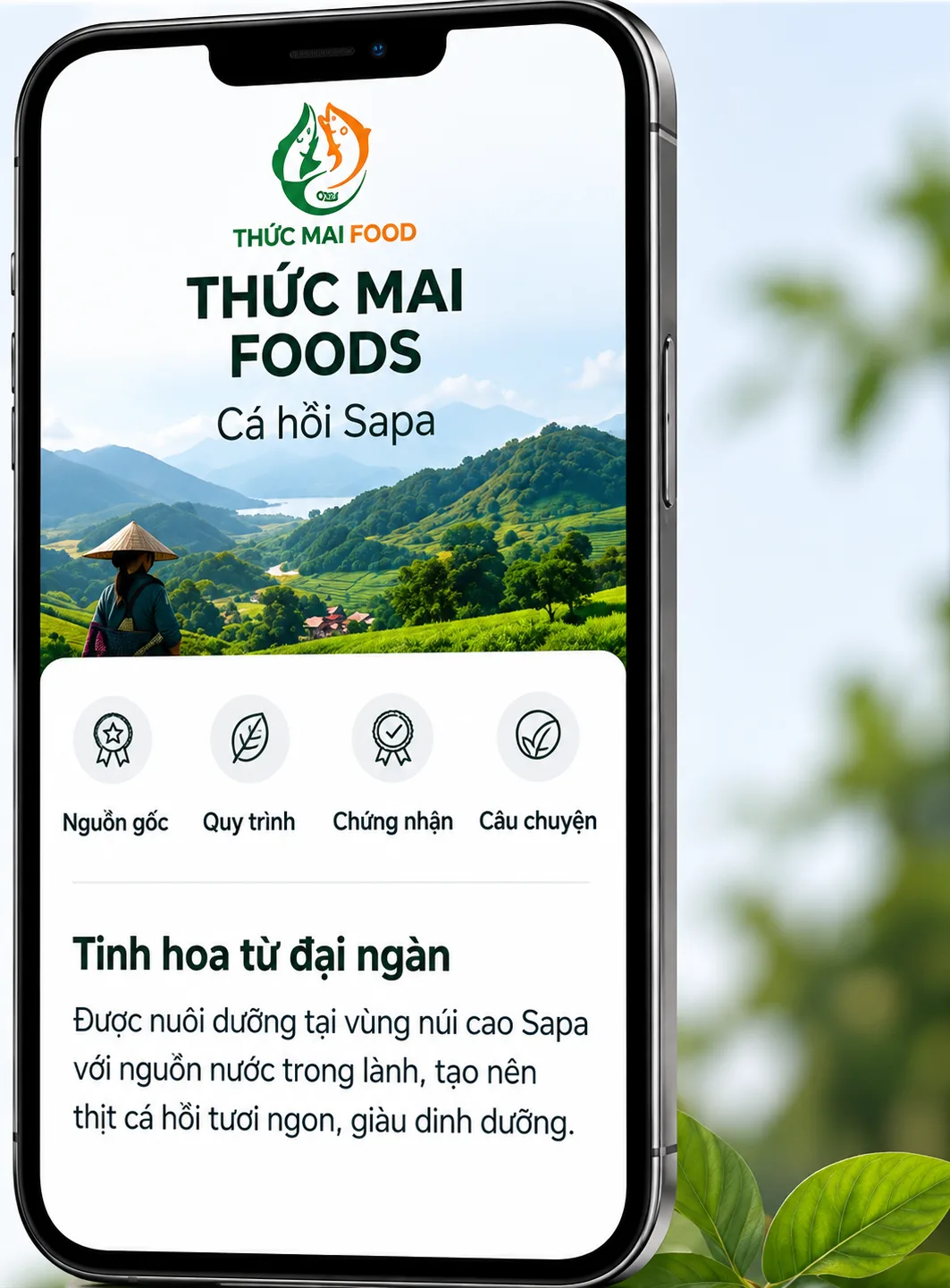 Hồ sơ số Cá hồi Sapa trên điện thoại