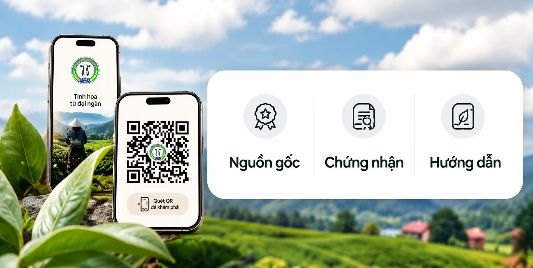 Quét QR xem nguồn gốc, chứng nhận, hướng dẫn